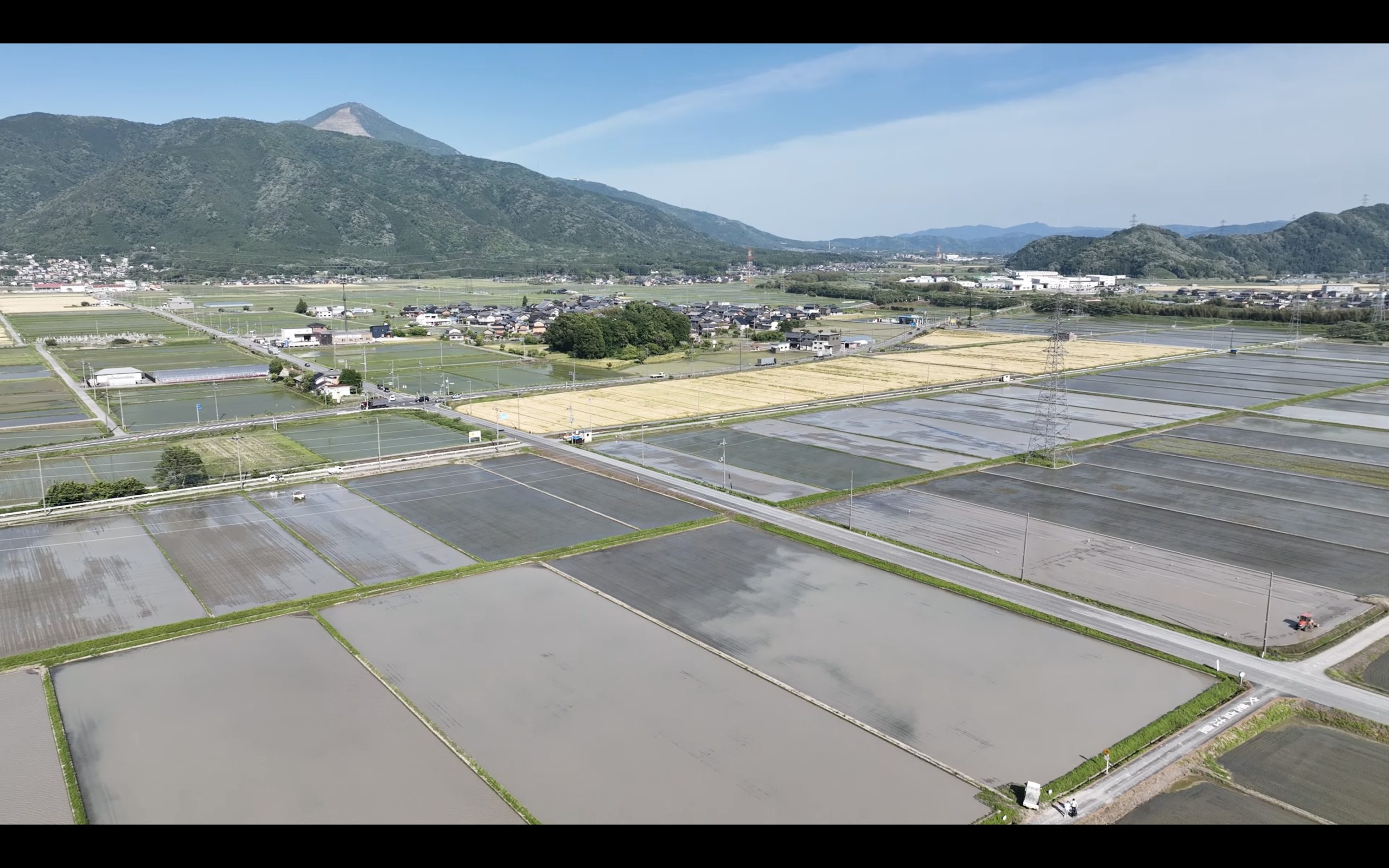 田んぼページ Jinko Best Selling Tiger Neo N-Type 78hl4- (V) 610W 615W 620W 625W